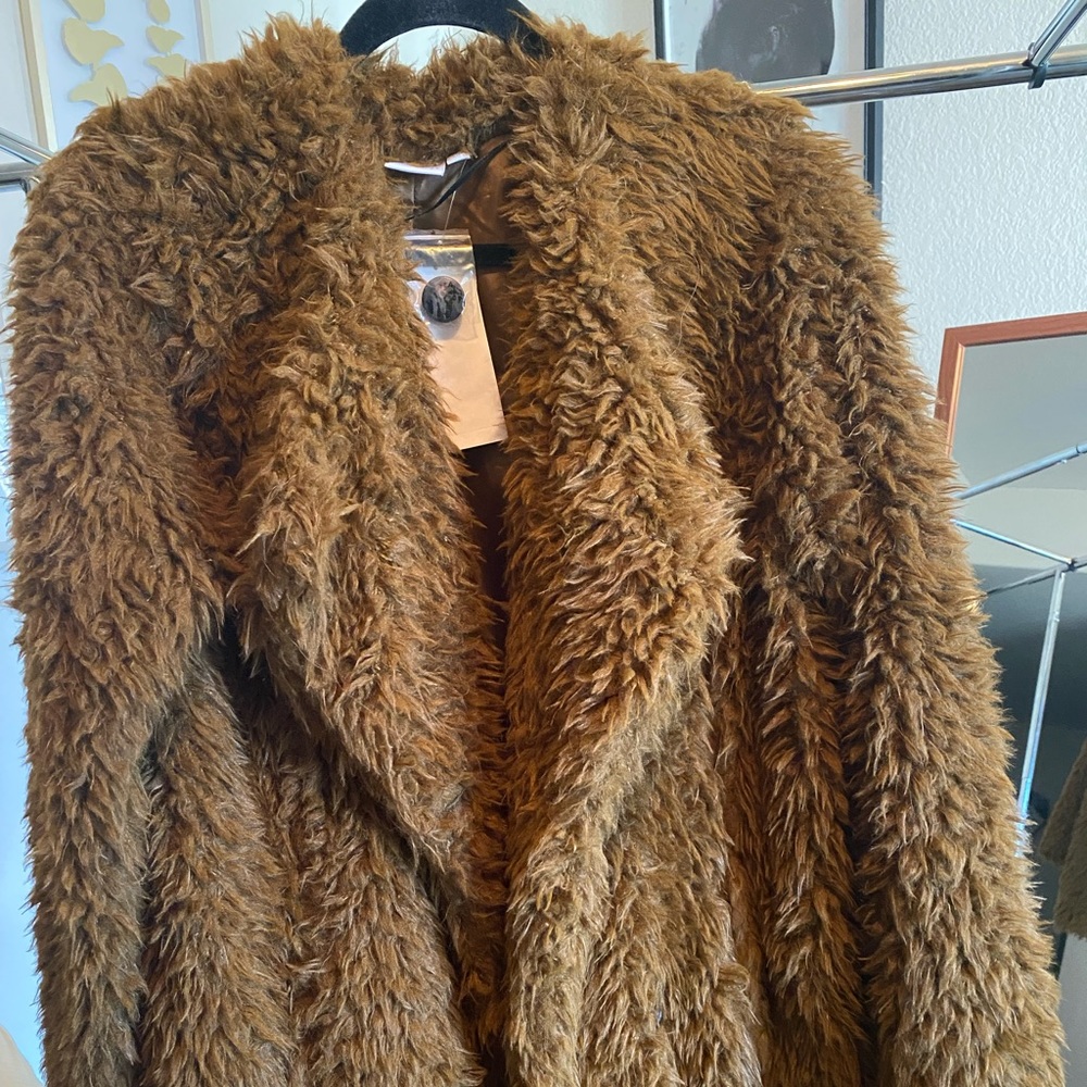 Shaggy brown coat